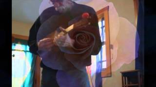 what are their names? by david crosby - ukelele cover