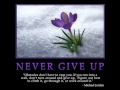 NEVER GIVE UP - Melissa Ferrick