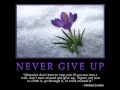 NEVER GIVE UP - Melissa Ferrick 