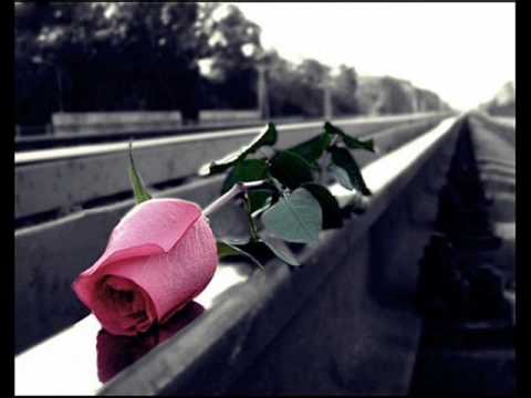 Glorija i Ruzica Cavic - Ne trosi srce.wmv