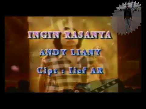 Andy Liany - iNgin Rasanya (Karaoke No Vocal)