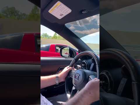 Donzilla and Louie Z.