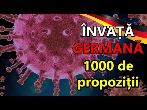 🇷🇴 🇩🇪 1000 German Sentences in 20 Days - Day 19