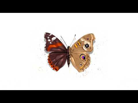 Jeffery DX - Always In My Mind (Official Audio)