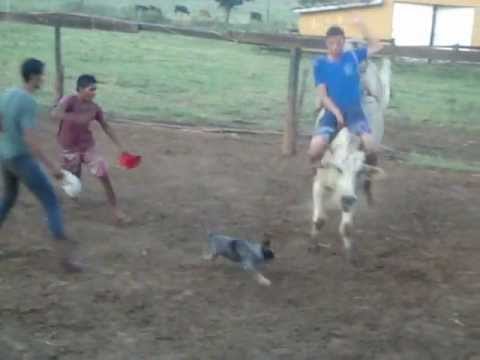 muntaria de fabricio alves