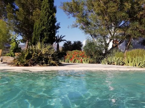 AX1005A Casa Pura Vida