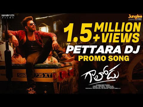 Pettara DJ | Song Promo| Gaalodu