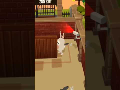 Video of Mr Agent Spy Rabbit
