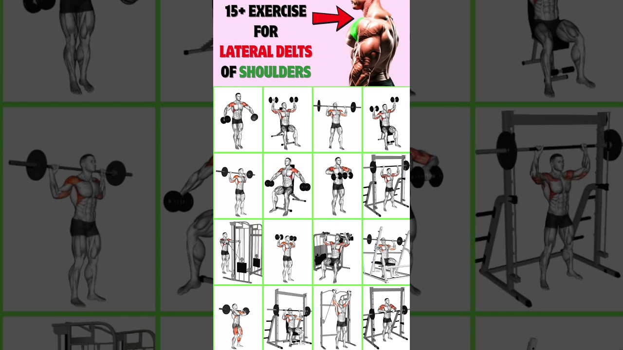 Top 16 Exercise For Lateral Deltoid of Shoulder #workout #shoulderworkout