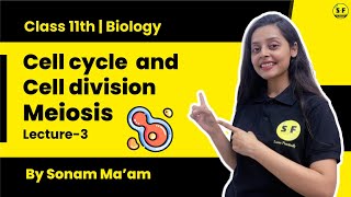 Class 11th Biology Shot | Cell Cycle and Cell Division Meiosis Lecture 3 | By Sonam Maam