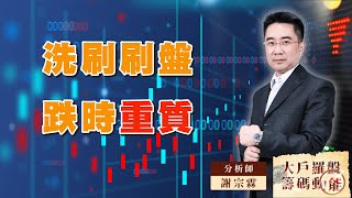 洗刷刷盤 跌時重質｜大戶羅盤籌碼動能 ｜謝宗霖 (圖)