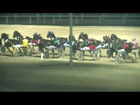 2021.12.18. 08. futam - LEONÓRA HENDIKEP