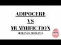 Adipocere and mummification difference | Forensic medicine | UGC NET Forensic science notes