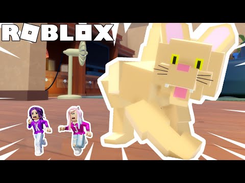 CAT ATTACK! 🐱🐭🧀 / ROBLOX