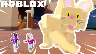 CAT ATTACK! 🐱🐭🧀 / ROBLOX