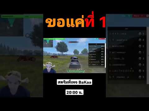 ฟีฟาย ruok
