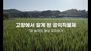 1화 농지의 형상 유지하기 | 고향에서 알게 된 공익직불제