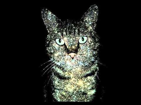 Elay Lazutkin - My Cosmic Cat (Calzheeto Remix) 2014 New Song