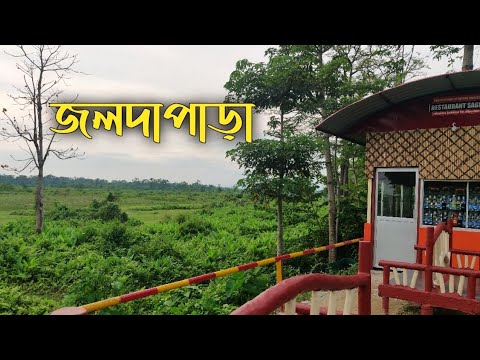 Video 1