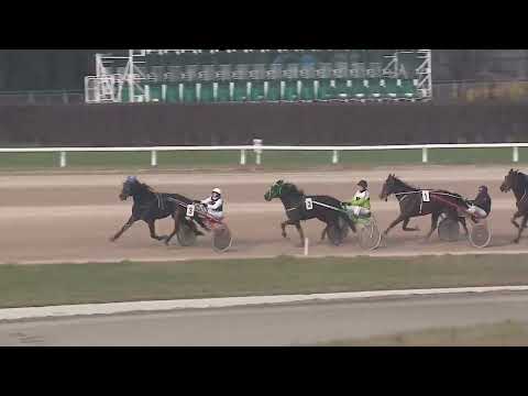 2022.12.17. 05. futam - NOIX HENDIKEP