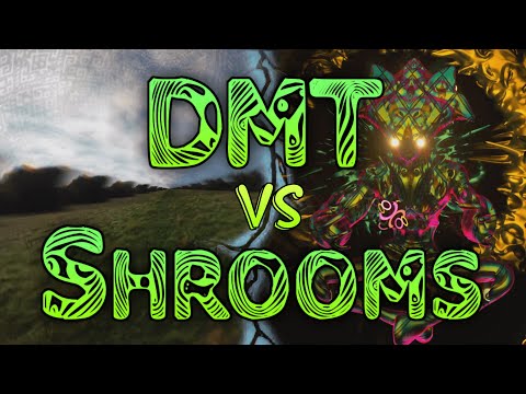 DMT VS SHROOMS