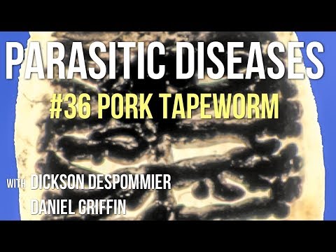 Parasites Without Borders, Parasitic Diseases Lectures #36: Pork Tapeworm