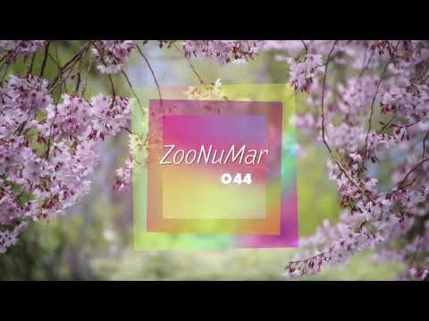 Progressive House, Future House, Melodic Techno  | ZooNuMar Mix 044(TSJ sound)