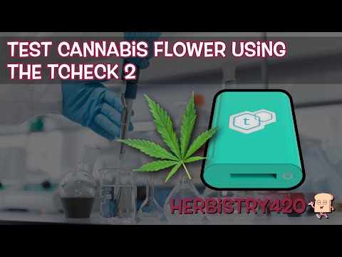 TCheck 2 Cannabis Flower Test: 12.5% Result Explained