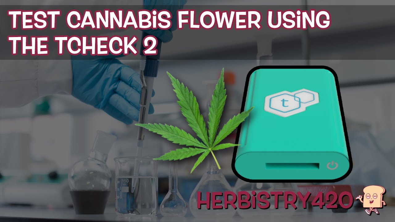TCheck 2 Cannabis Flower Test: 12.5% Result Explained