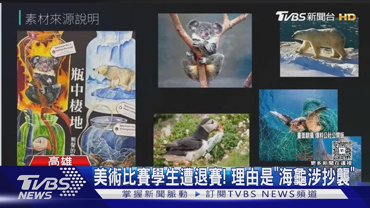 美術比賽畫「海龜」被認抄襲!老師怒不公 教育局回應了