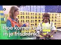 Hoe komen de bubbels in je frisdrank? | Vragen van Kinderen