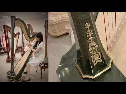 【グリーン色のハープ】salvi arionモデル弾き比べ