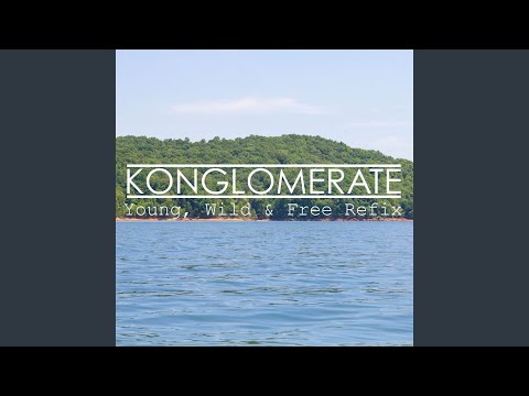 Young, Wild & Free (Refix)