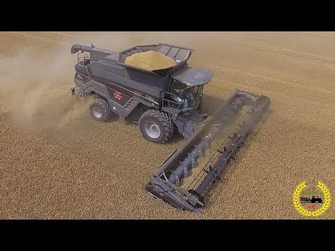 NEW - IDEAL 8 PL / Massey Ferguson / Bergmann GTW 330 / Getreideernte 2018