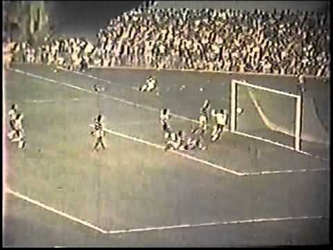 Botafogo 1x0 Flamengo (1975)