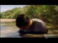 Bear Escapes Quicksand