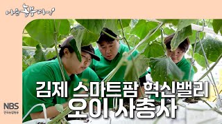 [나는농부다 302회] 김제 스마트팜 혁신밸리 오이 사총사
