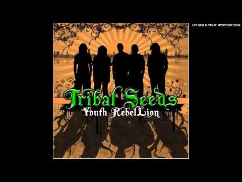 Youth Rebellion lyrics