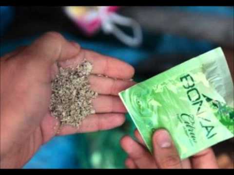 Dj Yeşilovalı - Kopmalık Kafa Yükselten Bonzai Şarkısı