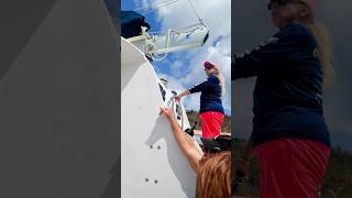 NCL GETAWAY - Day 4 - VIRGIN ISLANDS SNORKELING - 2022 #jbcruisin #ncl #cruise #cruiseship