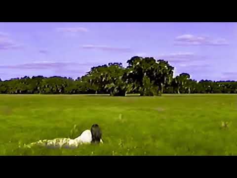 Ethel Cain - Thoroughfare (Reverb Edit)