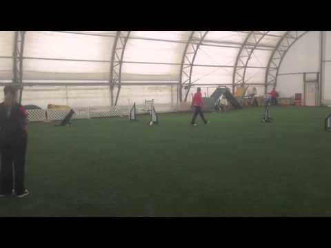 Zain AD, High Octane USDAA