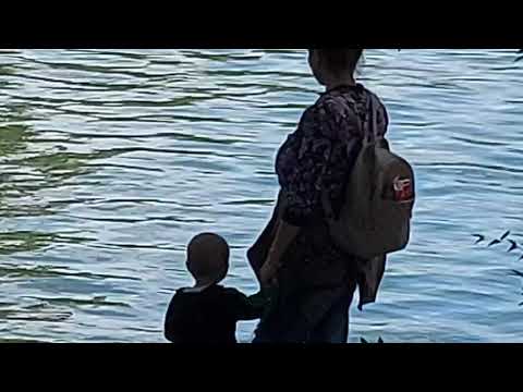 O rățușcă stă pe lac!