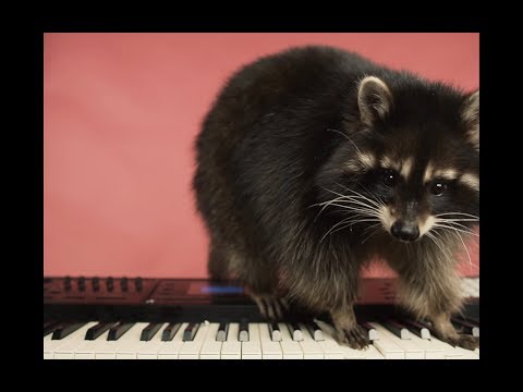 Video thumbnail for Ты знаешь, кто он (YKWHI)