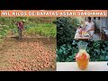 SARDINHAS ASSADAS SANGRIA LIMPEZA DAS ÁRVORES VIDA RURAL Vidanocampo Simpleliving