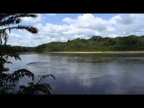 Manu Park , Peru - Wild Watch Peru - Wildlife Tours