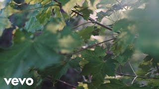 Calm Collective - I Have A Secret 