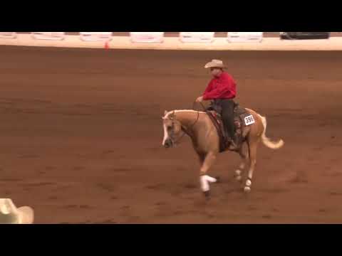 180914 Marco Formentin on CC Plain Vanilla NHO Derby