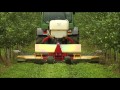 Click to View : APPLE vario – mowing grass in apple orchard