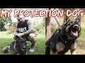 My New Protection Dog | WOLF